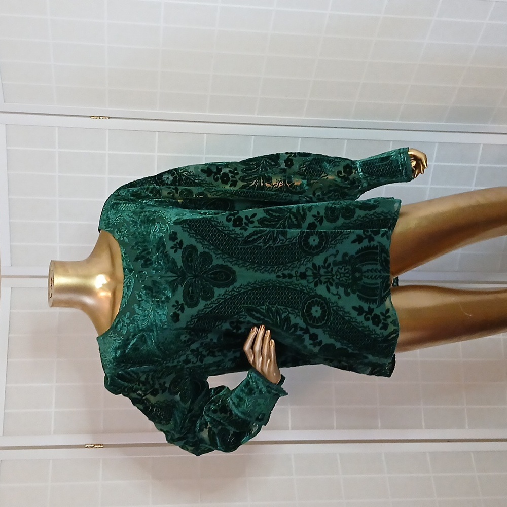 Soft Surroundings Vanetta Velvet Top